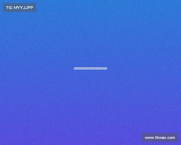 《电子化执裁：数字跆拳道赛事评判标准全解析》